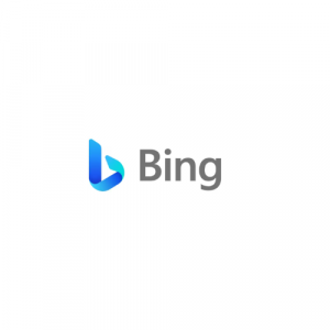 Microsoft Bing AI Alternative(1)
