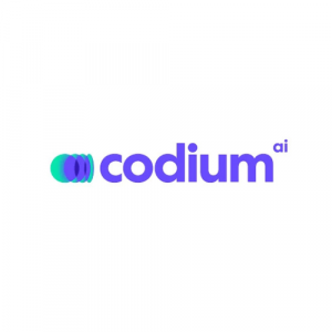 Codium AI Alternative