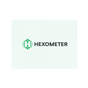 Hexometer AI Alternative
