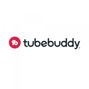 TubeBuddy AI Alternative